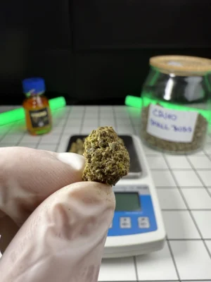 CRYO SMALL BUDS