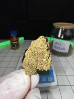 JACK HERRER