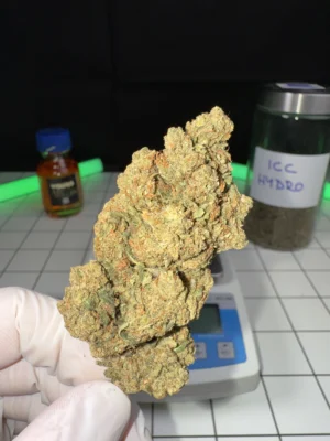 ICC HYDRO