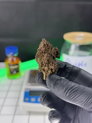PURPLE KUSH