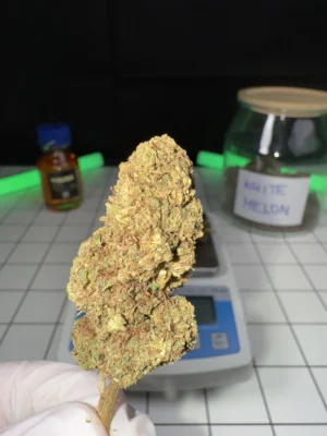 WHITE MELON